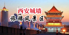 免费看的操小逼视\中国陕西-西安城墙旅游风景区